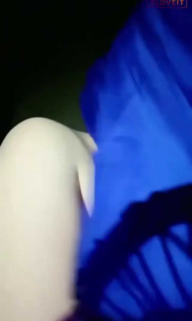Türbanlı Eloşki ifşa Şişmanın normal yayın videosu — Eloşki — Canlı Yayınlar · sahne 2