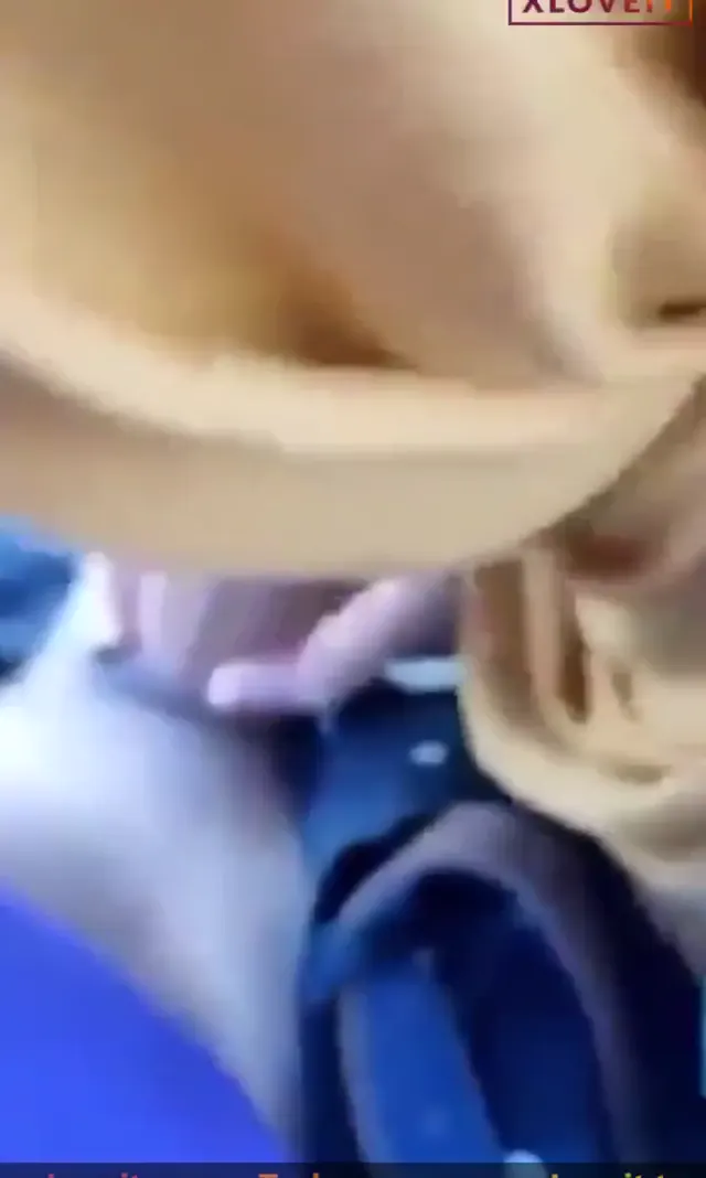 Türbanlı porno Açık havada sakso çekti — Amatör Porno · sahne 3