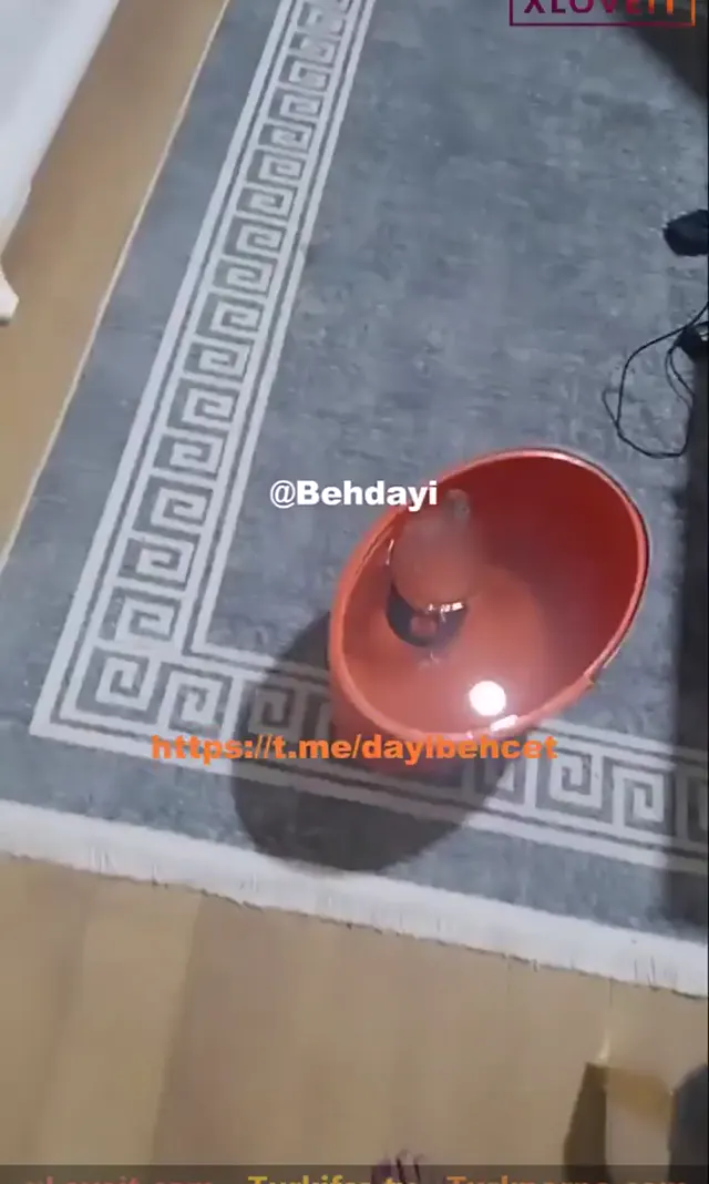 Zayıf Sikiş Meryem canlı yayında iliklerine kadar kullanıldı — Meryem — Amatör Porno · sahne 1