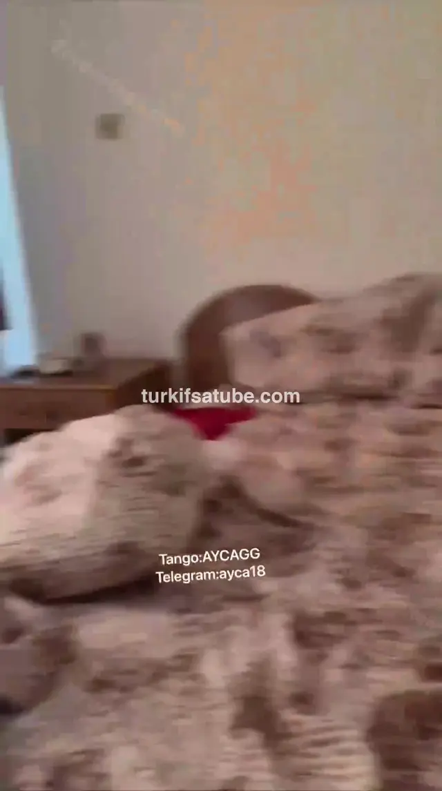 Ayça Çağan OnlyFans Videoları - Part 35 — Ayça Çağan