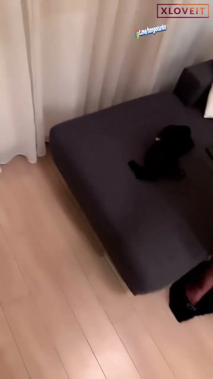 Canlı Seks izle Gamze sakso çekip domalarak siktirdi — Mobil Porno