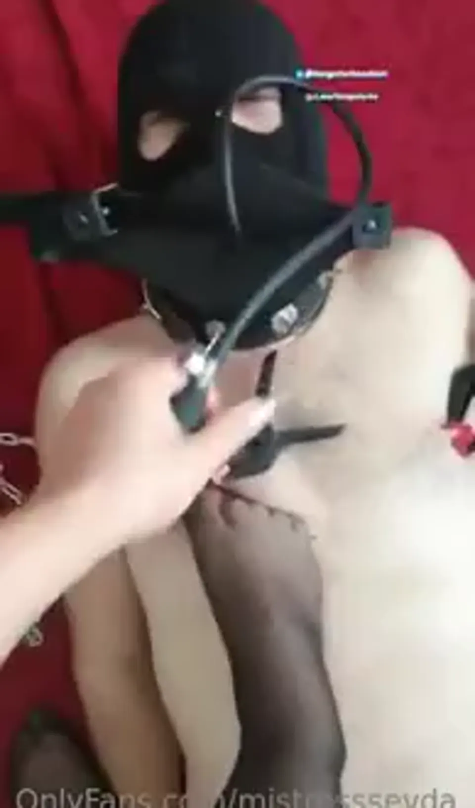 Mistress Sevda ifşa – Türk sahibe köle videoları Vol 8 — Mistress Sevda — Türk ifşa